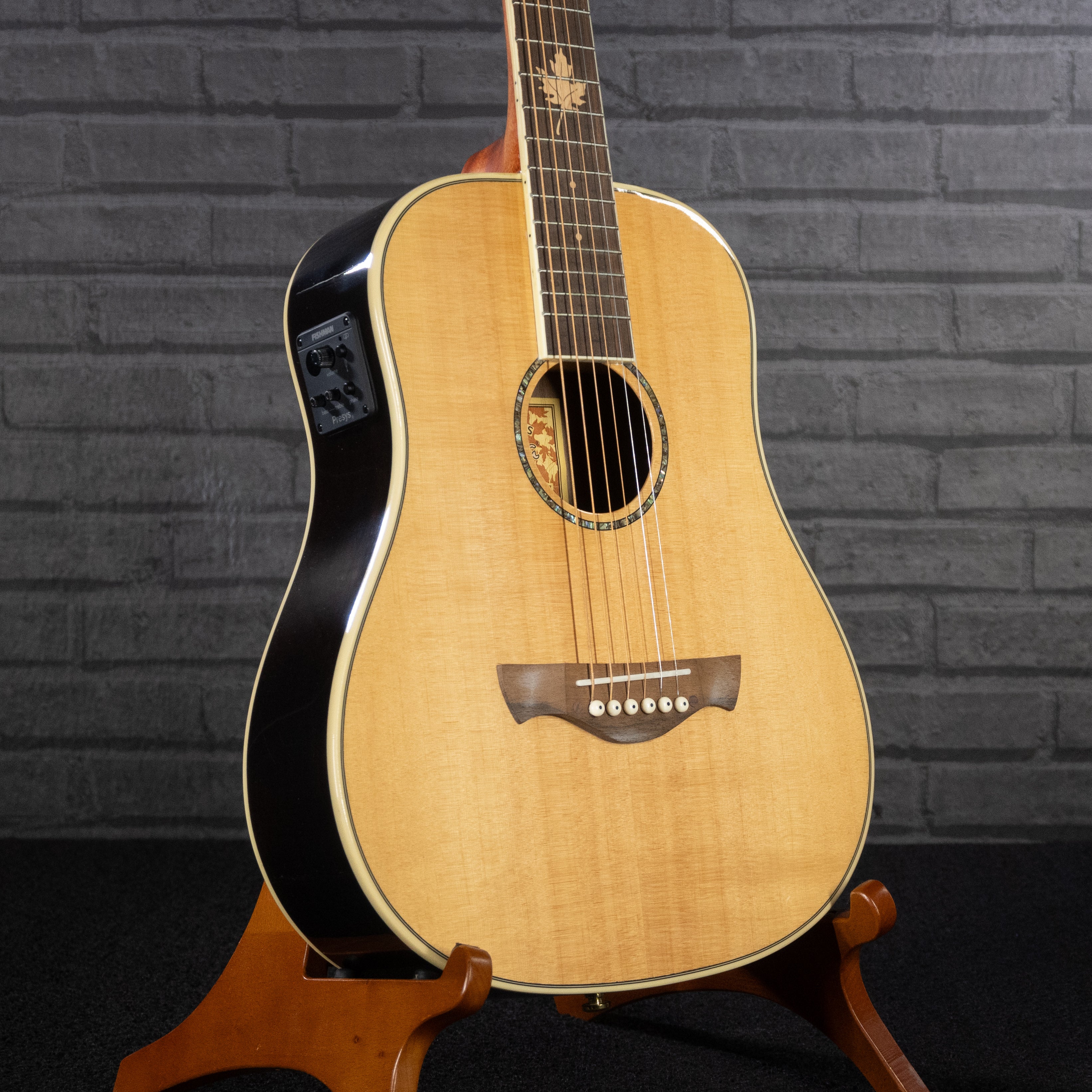 Tagima Canada Series Vancouver EQ Acoustic Guitar (Natural)