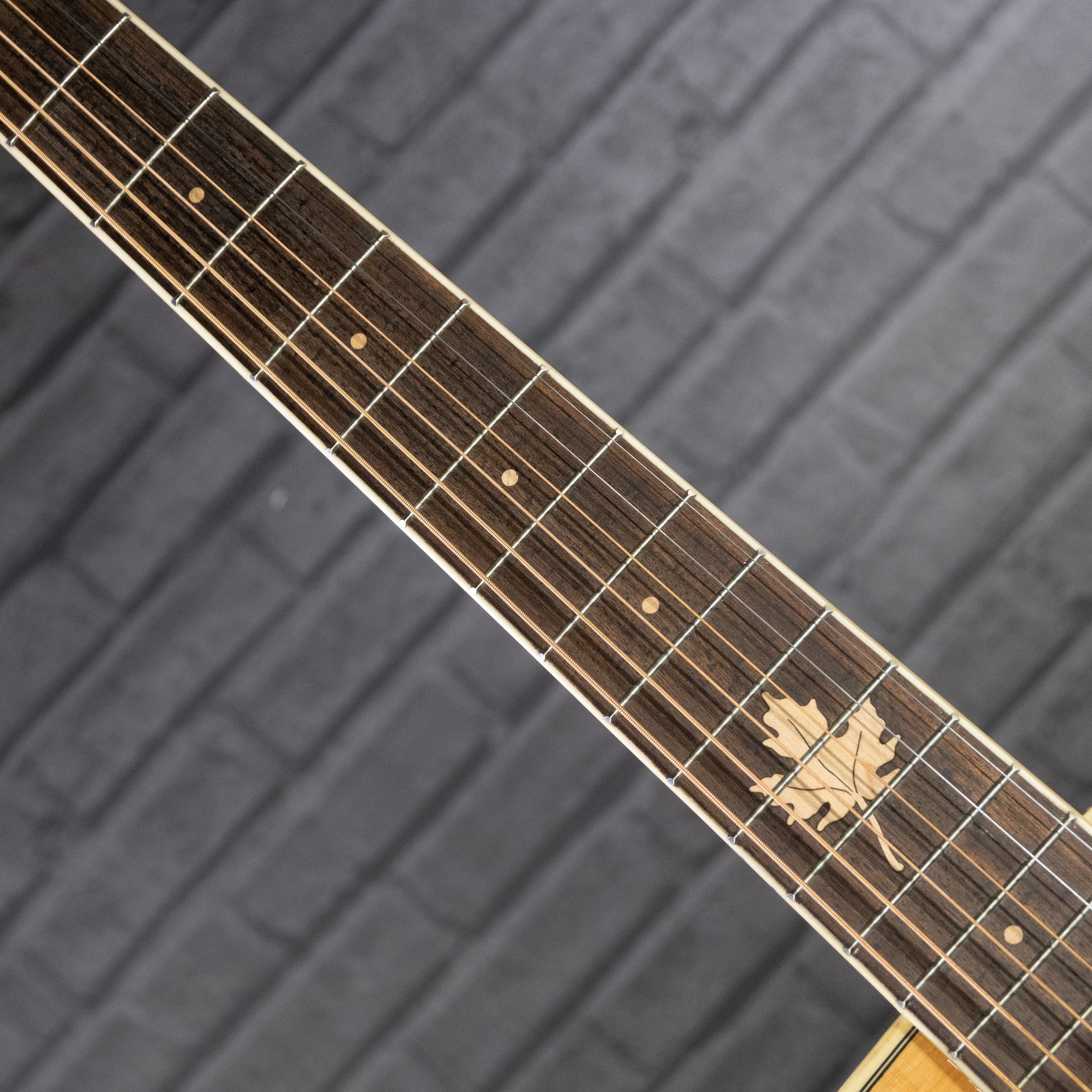 Tagima Canada Series Vancouver EQ Acoustic Guitar (Natural)