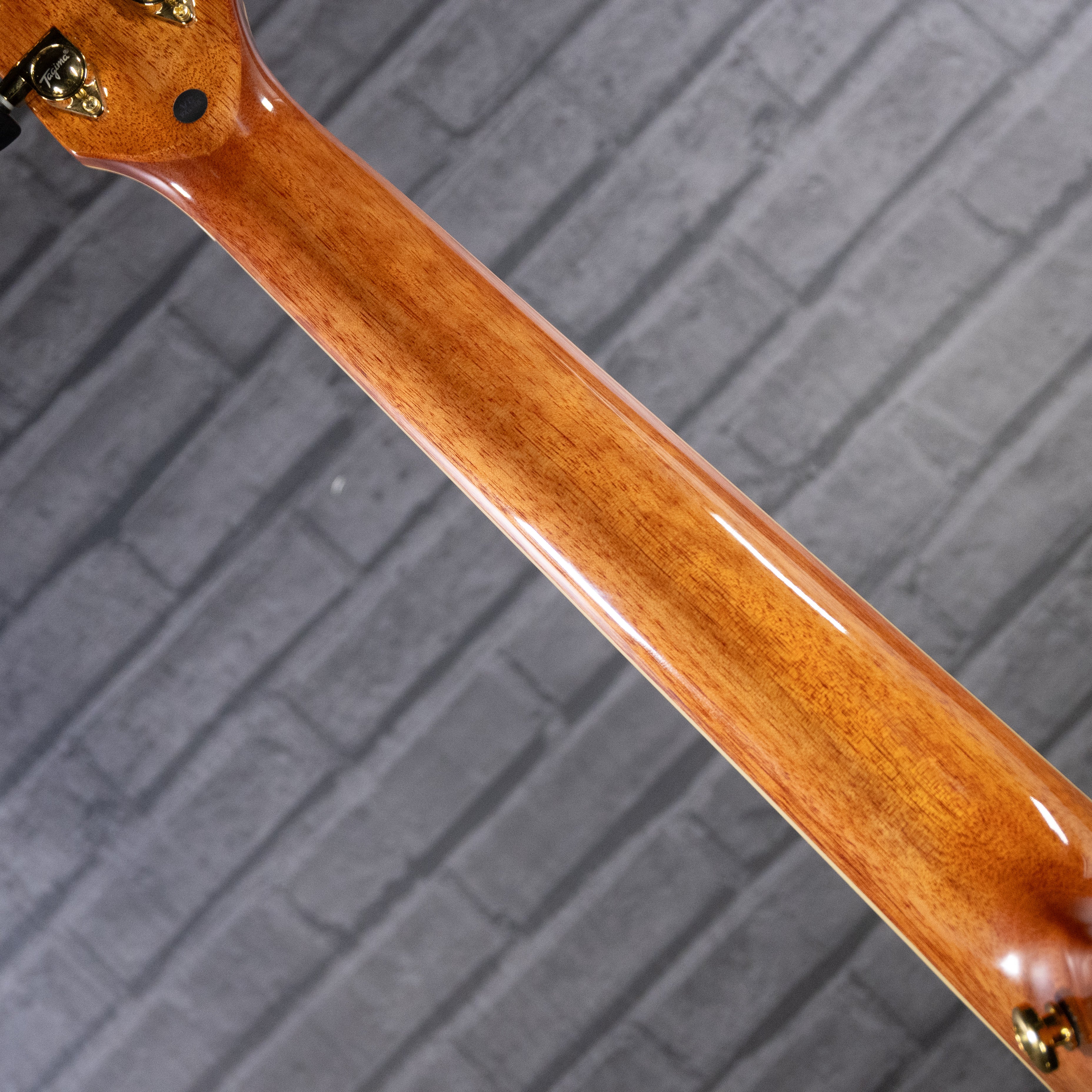 Tagima Canada Series Vancouver EQ Acoustic Guitar (Natural)