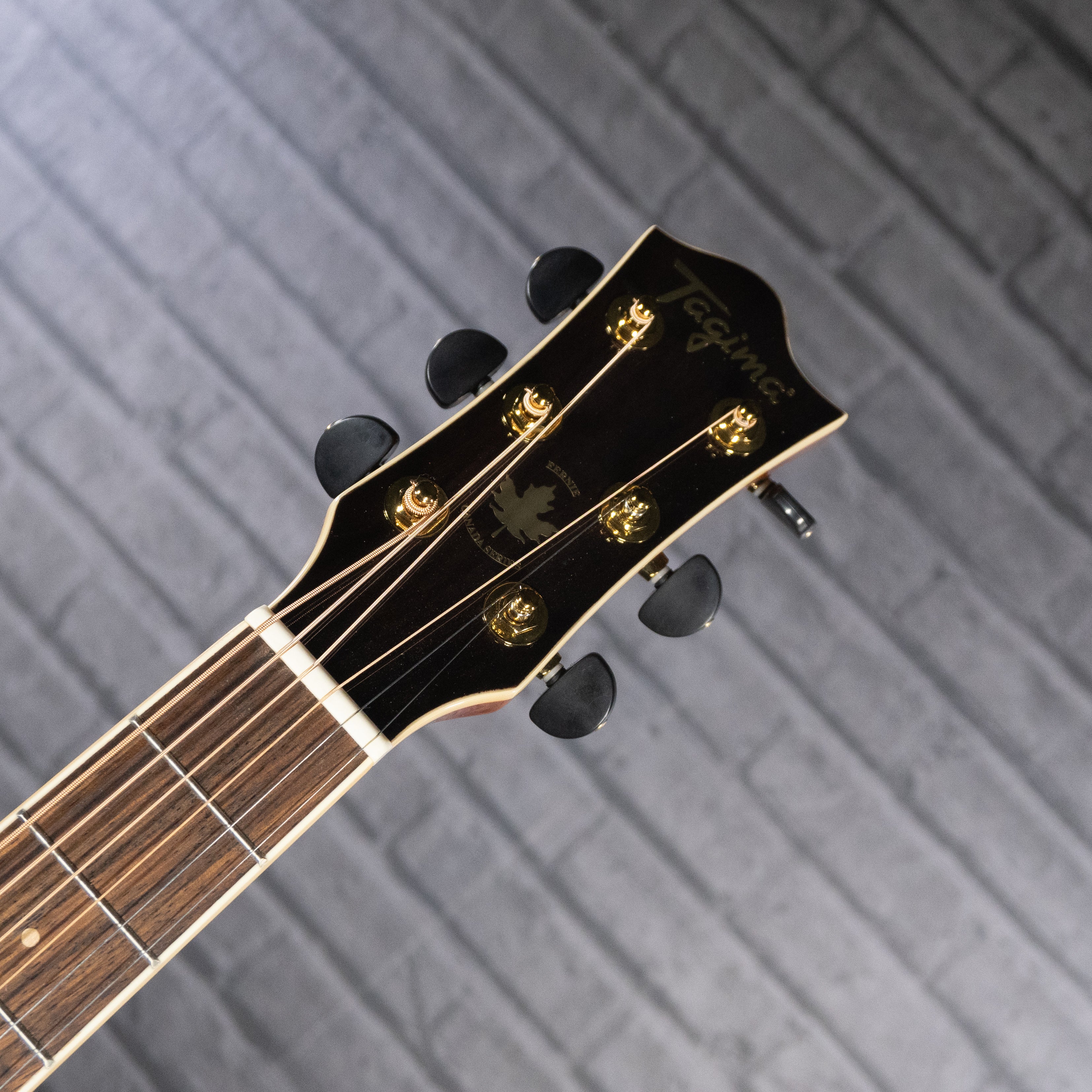 Tagima Canada Series Fernie EQ Small Body Acoustic Guitar (Cherryburst)