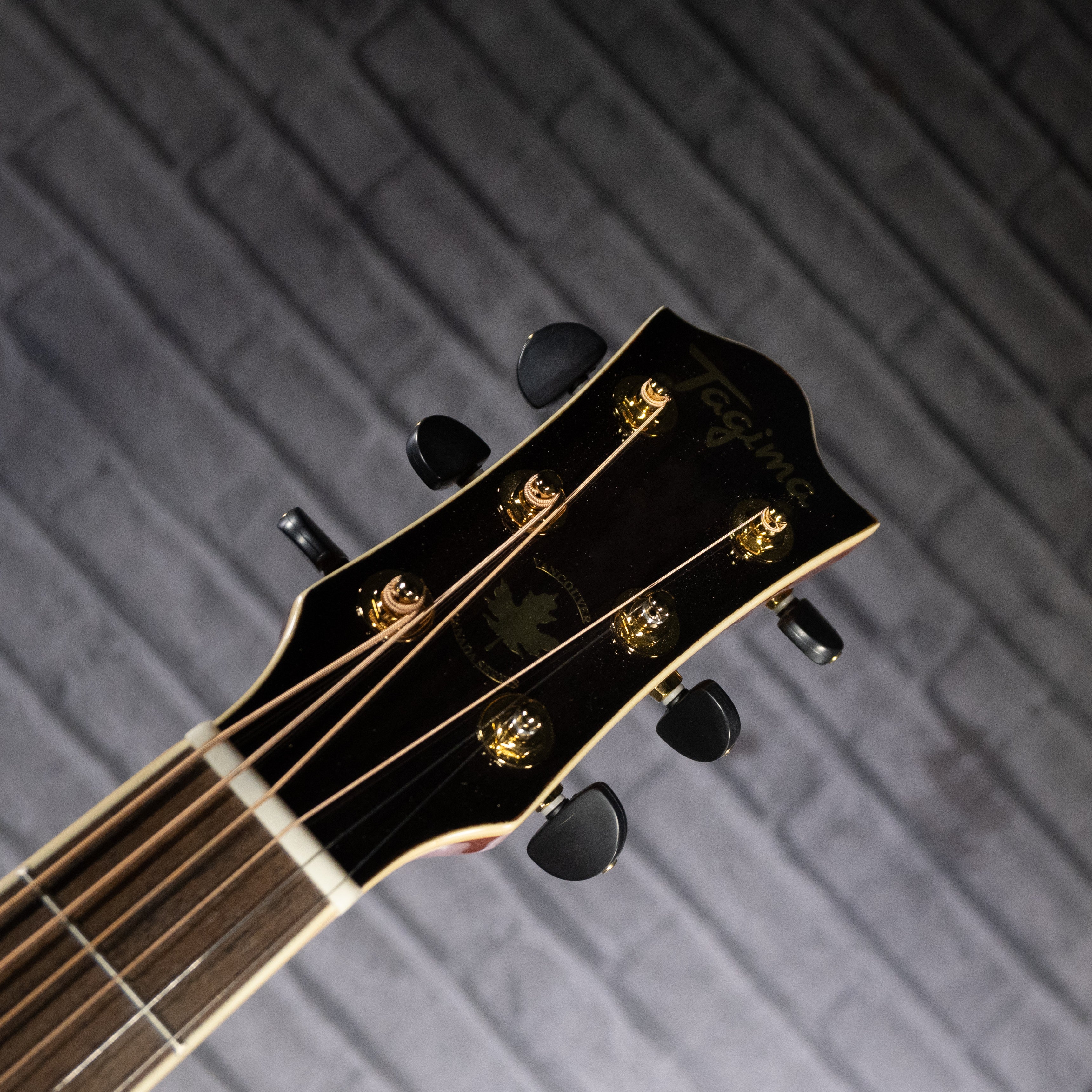 Tagima Canada Series Vancouver EQ Acoustic Guitar (Cherryburst)