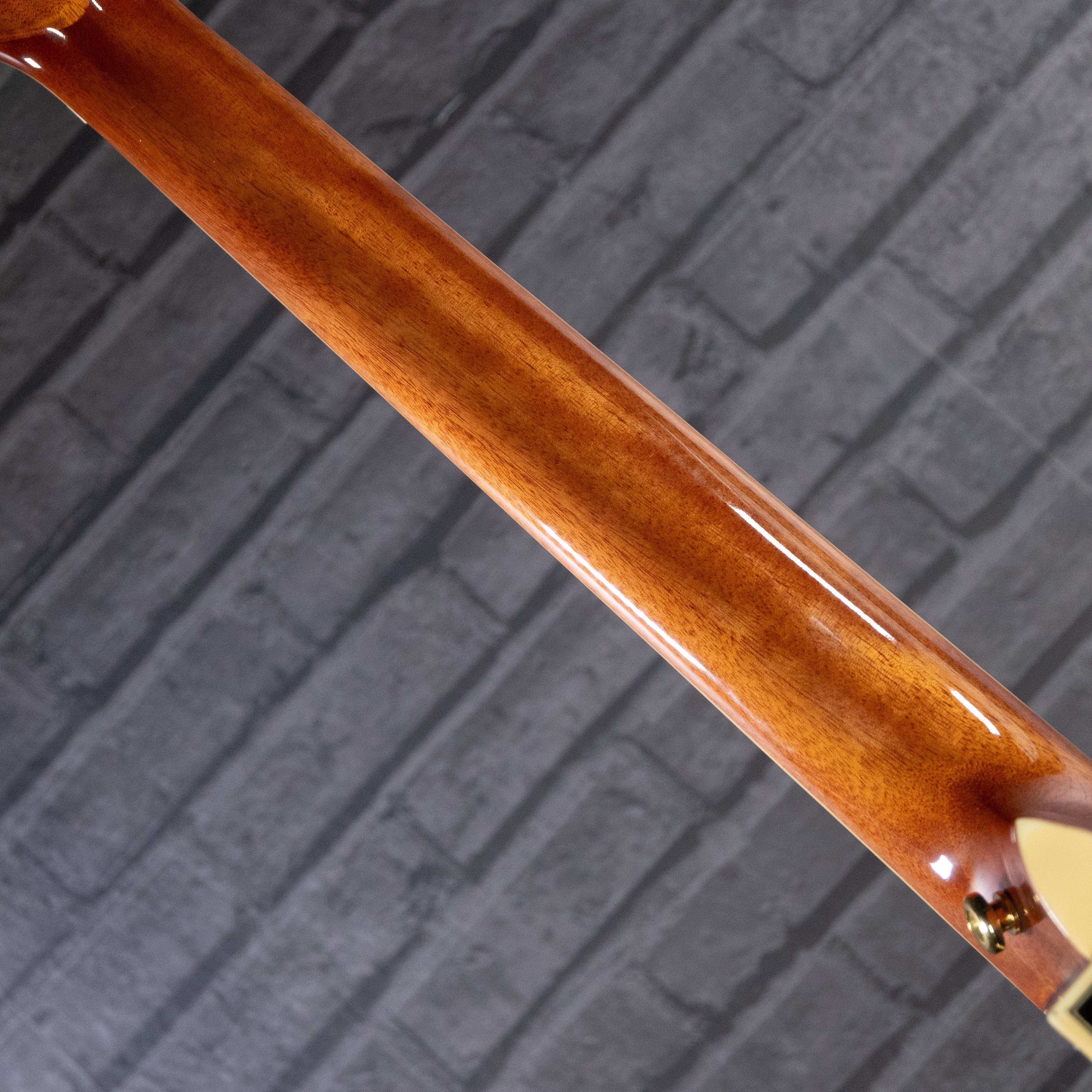 Tagima Canada Series Vancouver EQ Acoustic Guitar (Cherryburst)