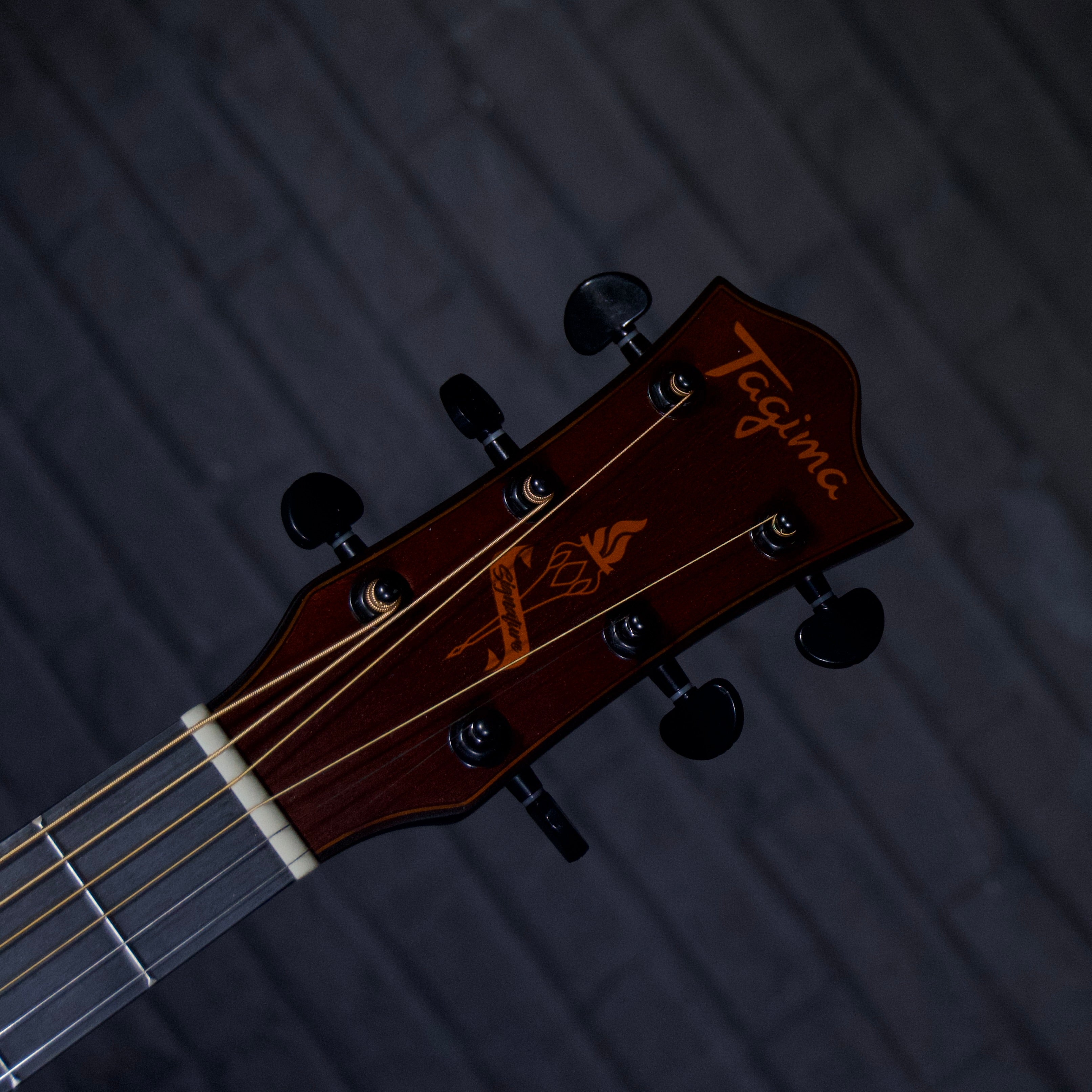 Tagima Juninho Afram Gran Reserva Dreadnought Acoustic/Electric Guitar