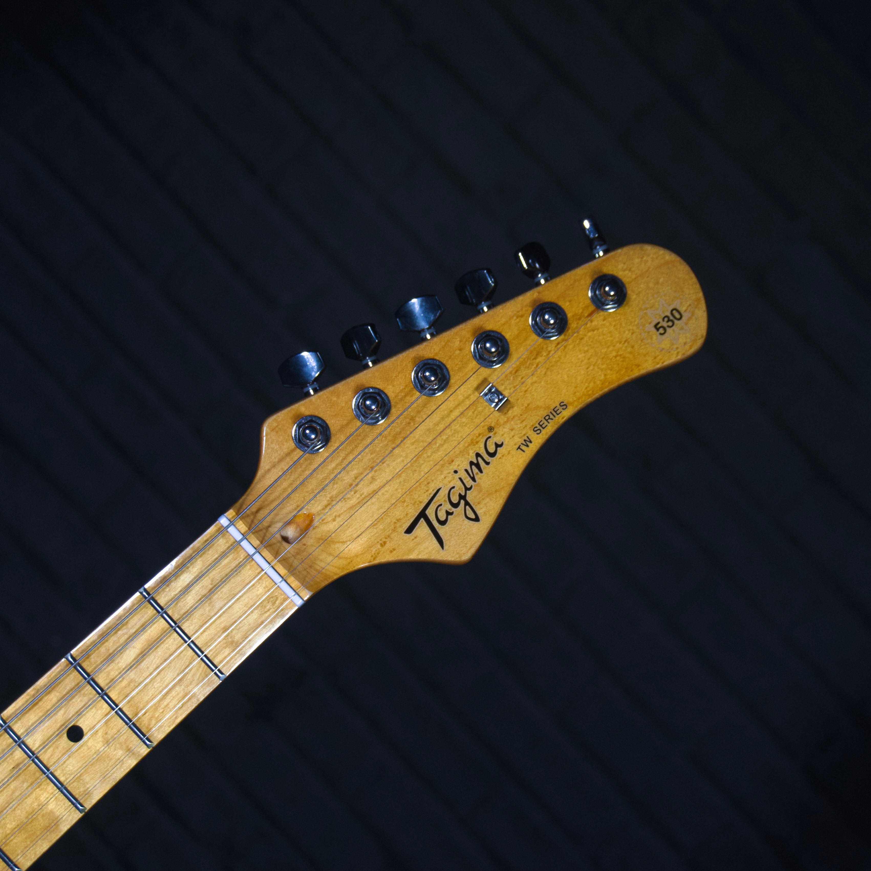 Tagima TG-530 Electric Guitar