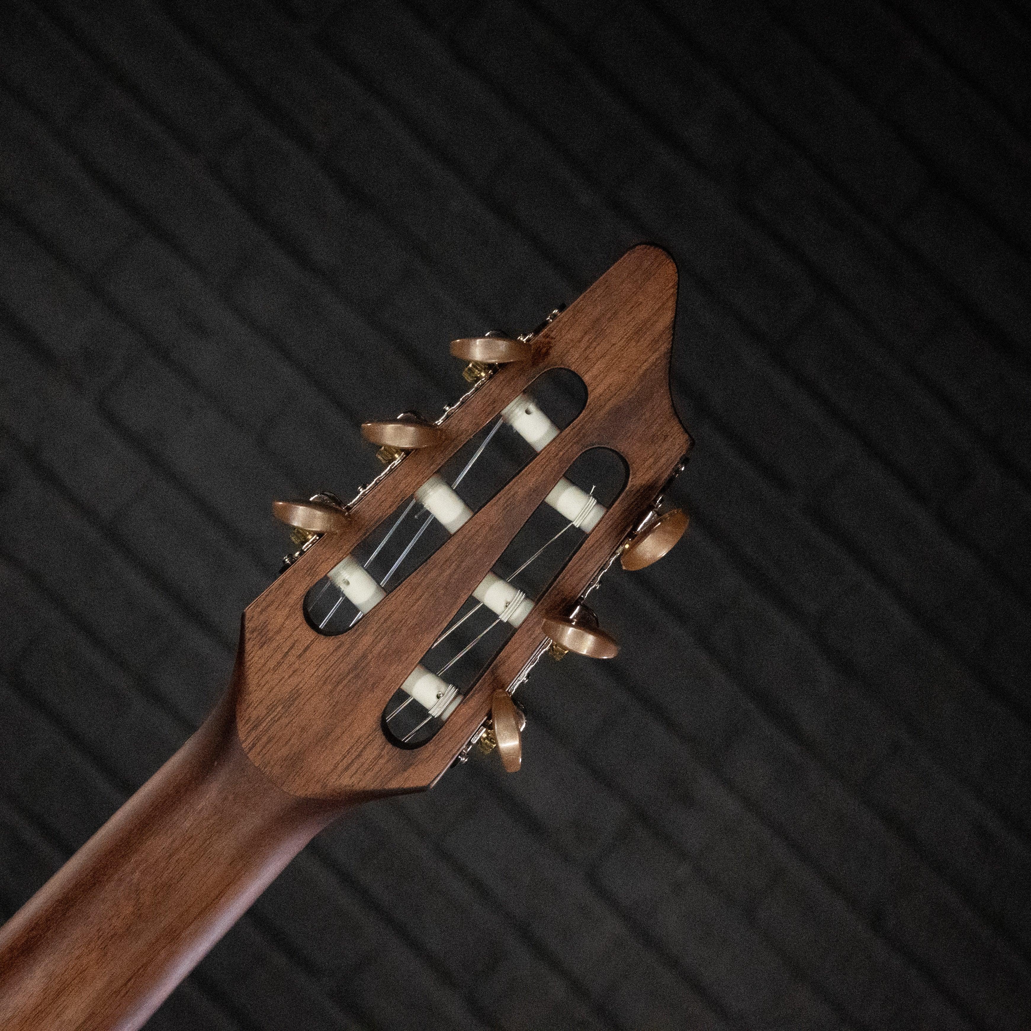 Breedlove Discovery S Concert Nylon CE (Red Cedar-African Mahogany) - Impulse Music Co.