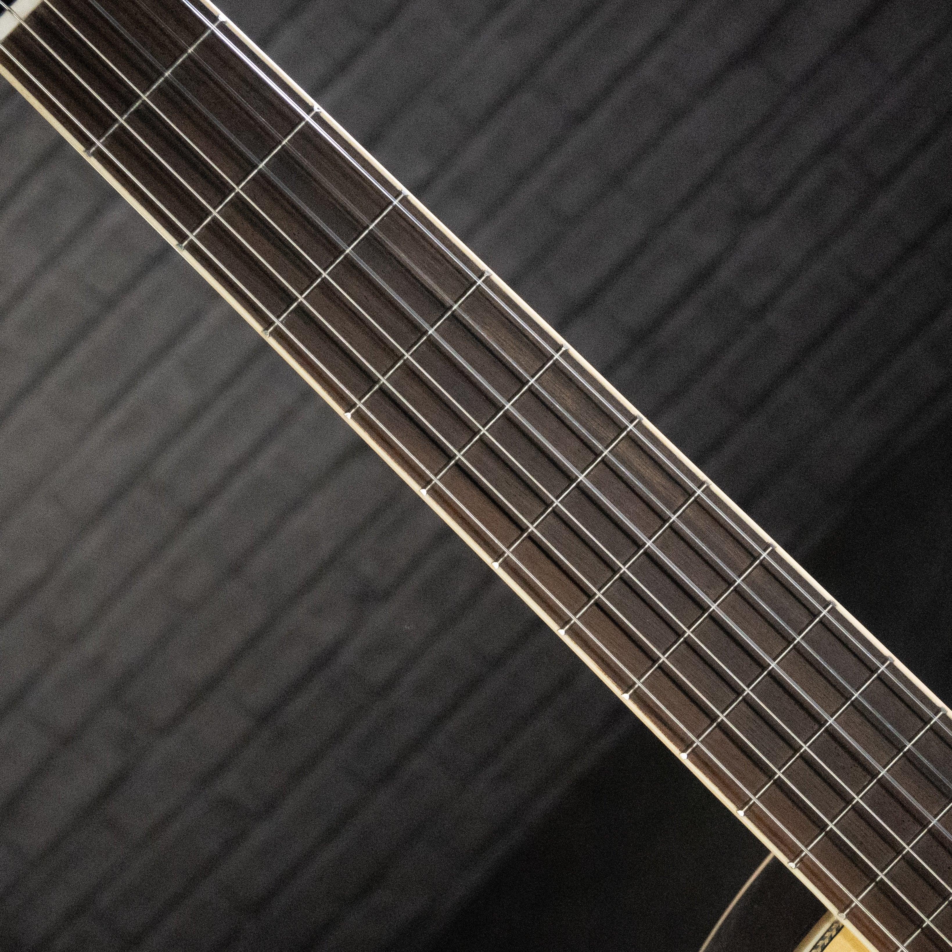 Tagima WS-10 EQ Classical Nylon Guitar (Natural) - Impulse Music Co.