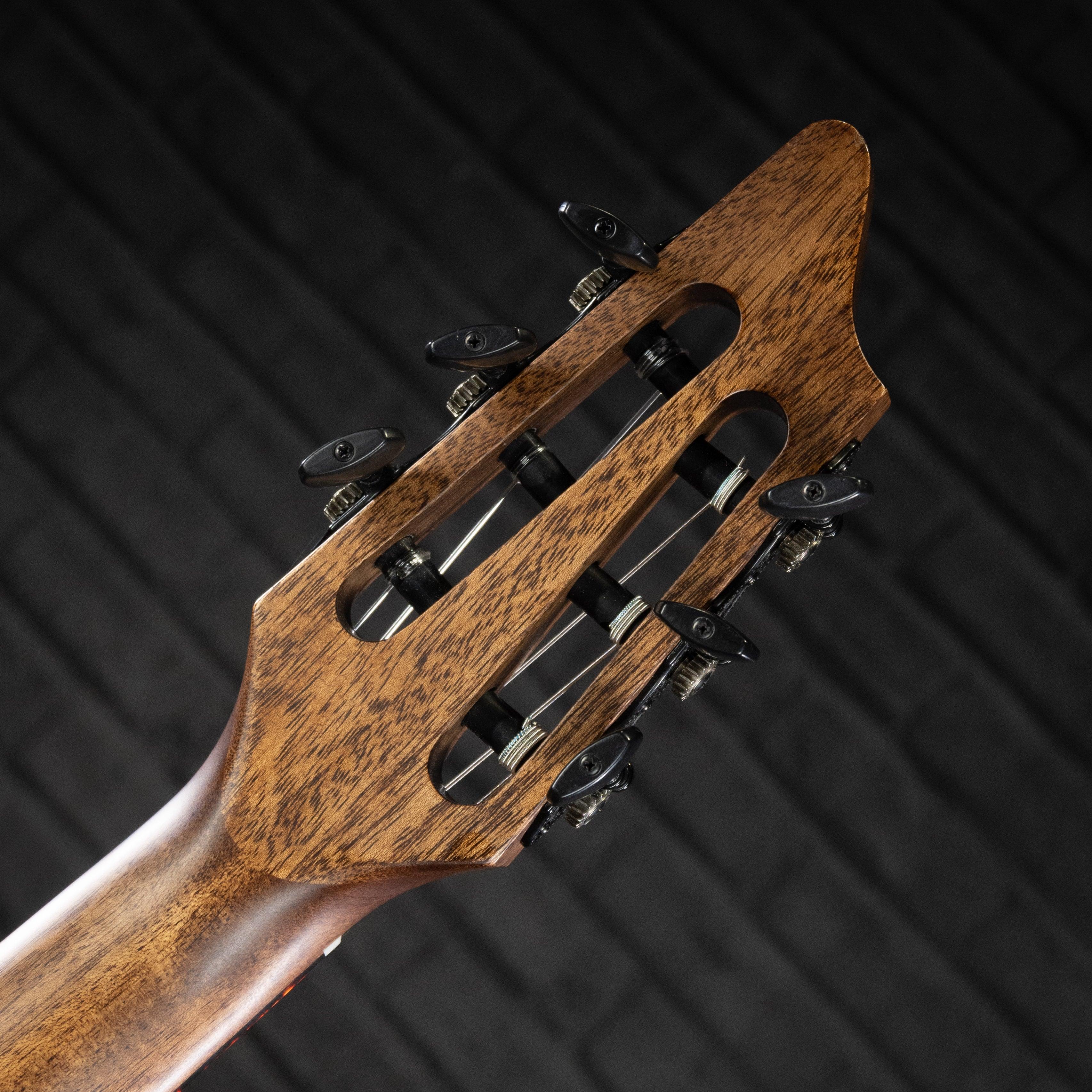 Breedlove Pursuit Exotic S Concert Nylon CE - Impulse Music Co.