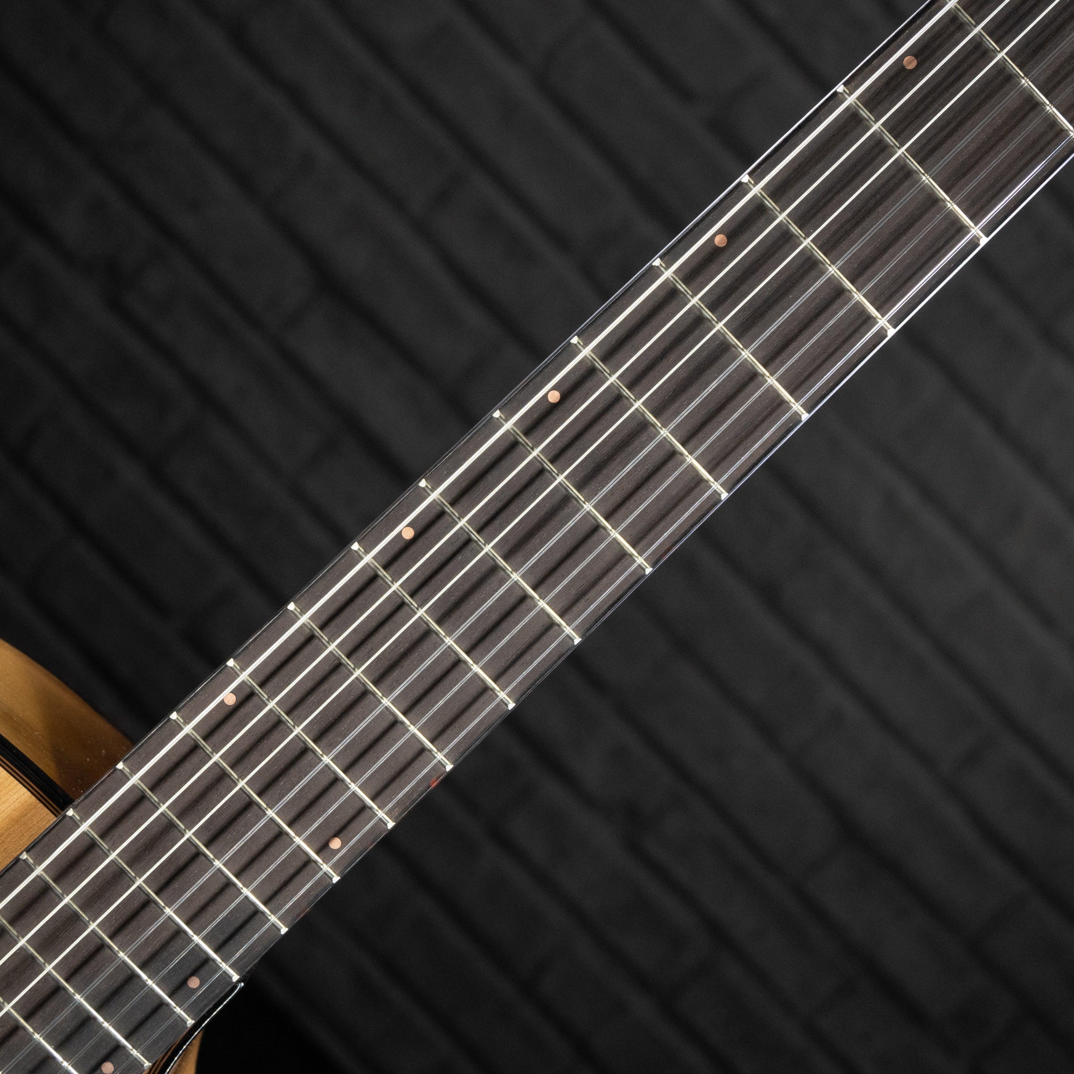 Breedlove Pursuit Exotic S Concert Nylon CE - Impulse Music Co.