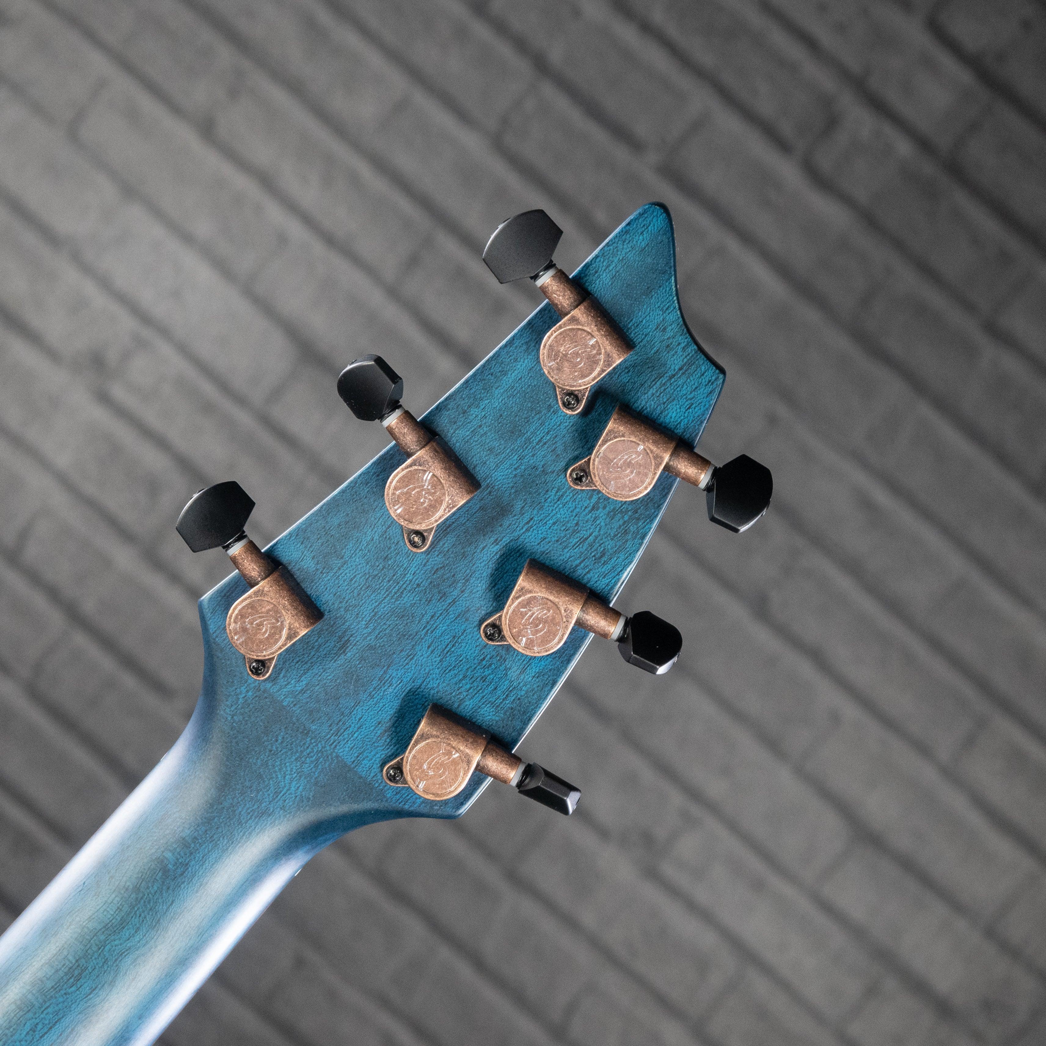 Breedlove Rainforest S Concert PA CE (Papillon Finish) - Impulse Music Co.