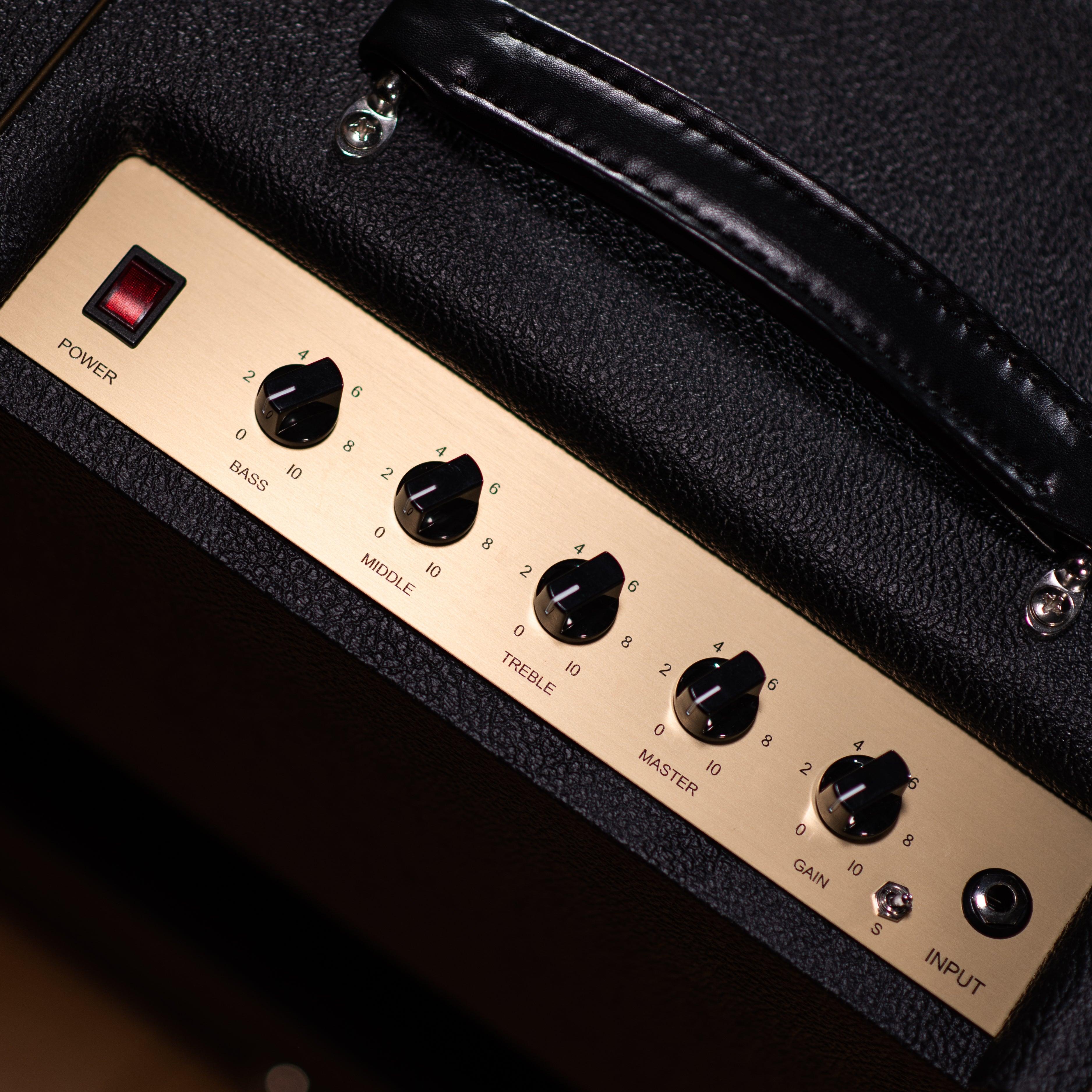 Friedman Amplification Pink Taco Combo - Impulse Music Co.