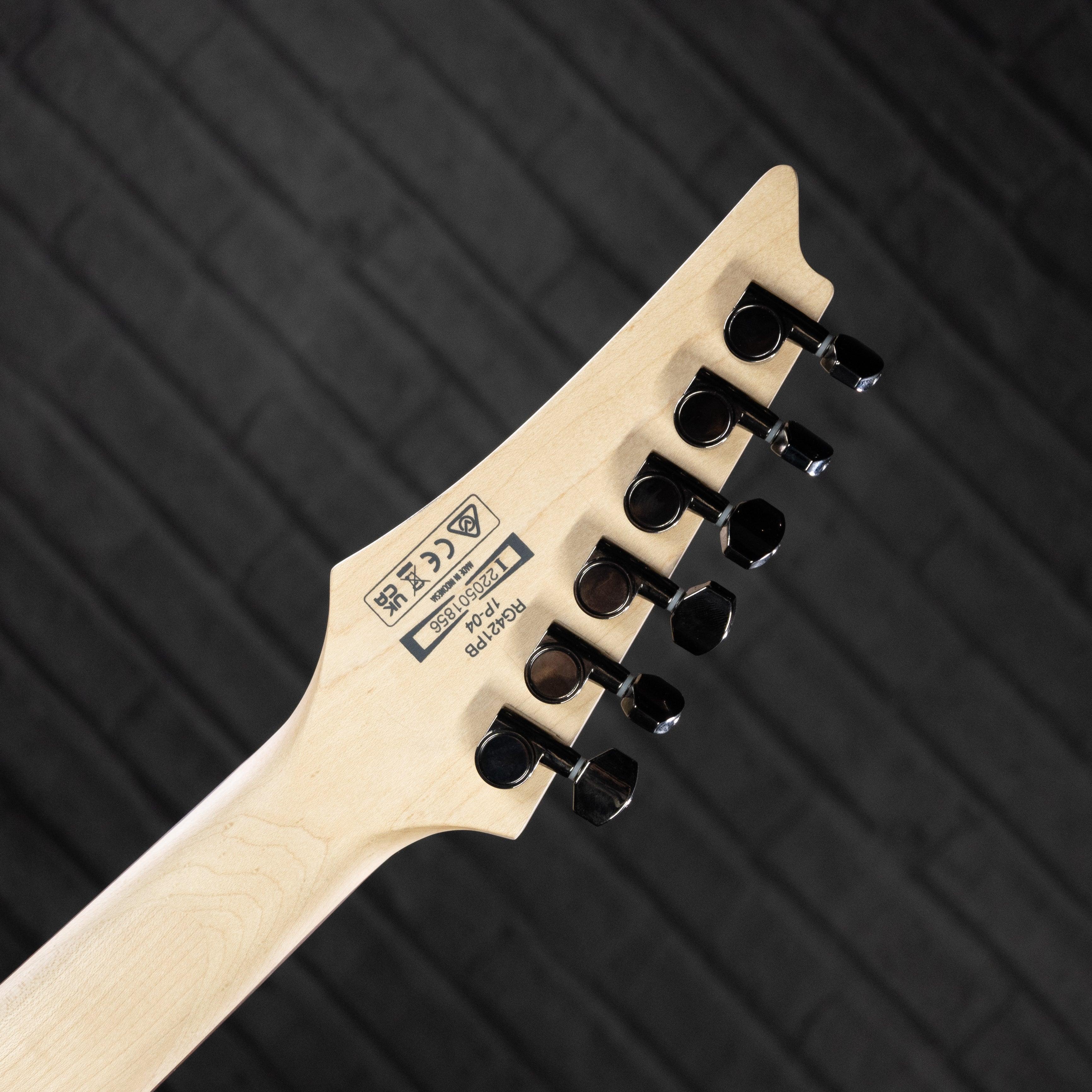 Ibanez RG421PB Electric Guitar (Caribbean Shoreline Flat) - Impulse Music Co.