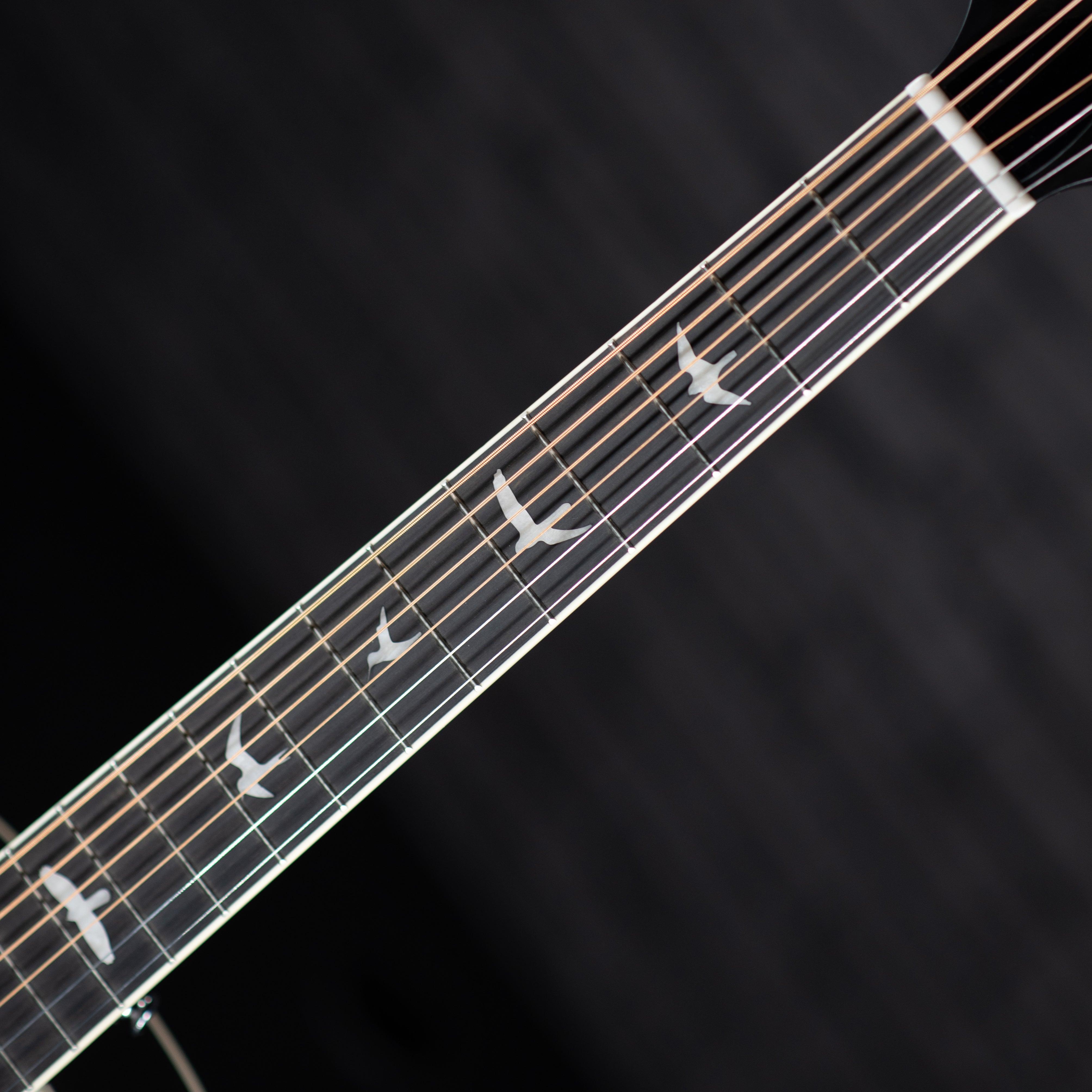 PRS P20 (Black) - Impulse Music Co.