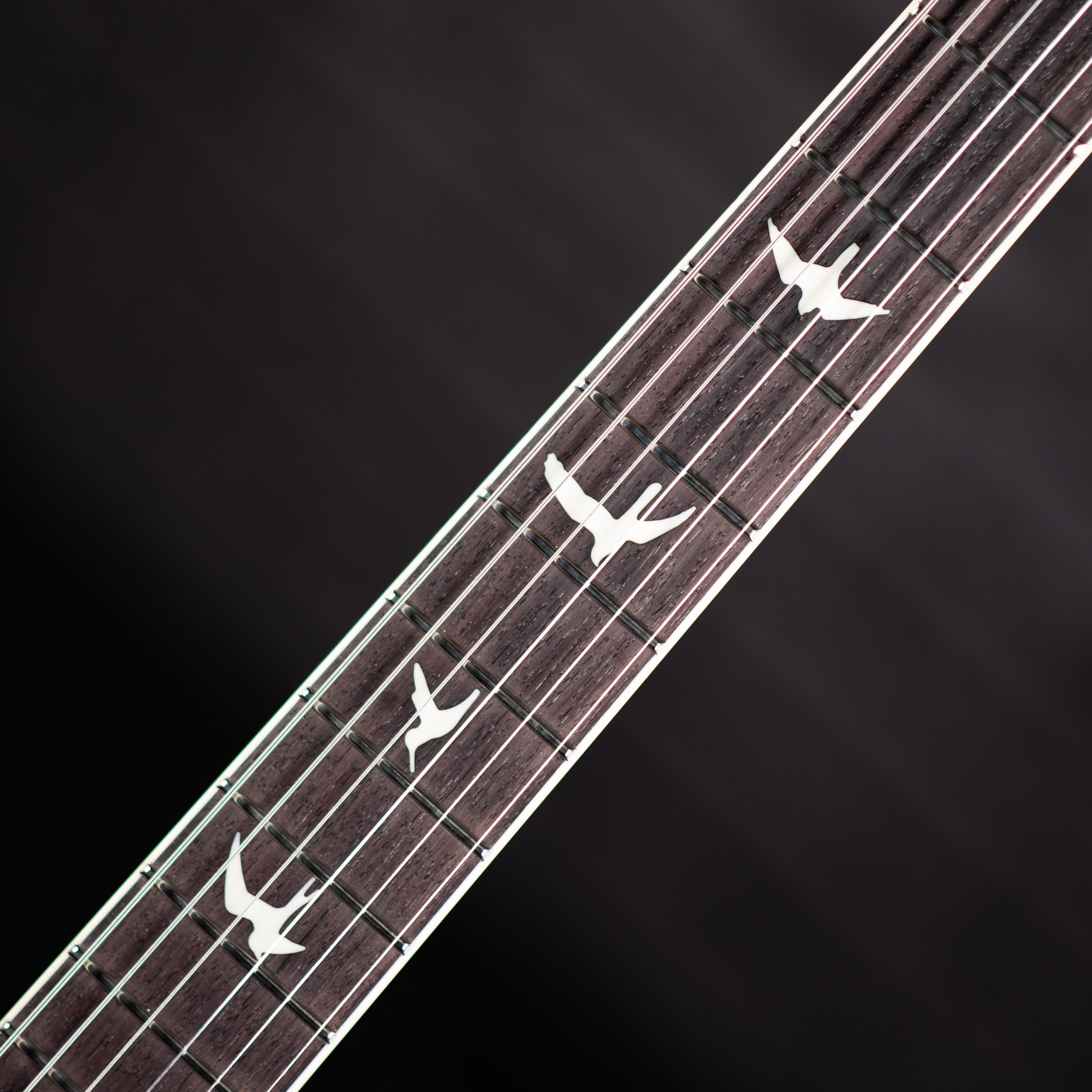 PRS S2 McCarty 594 Thinline - Impulse Music Co.