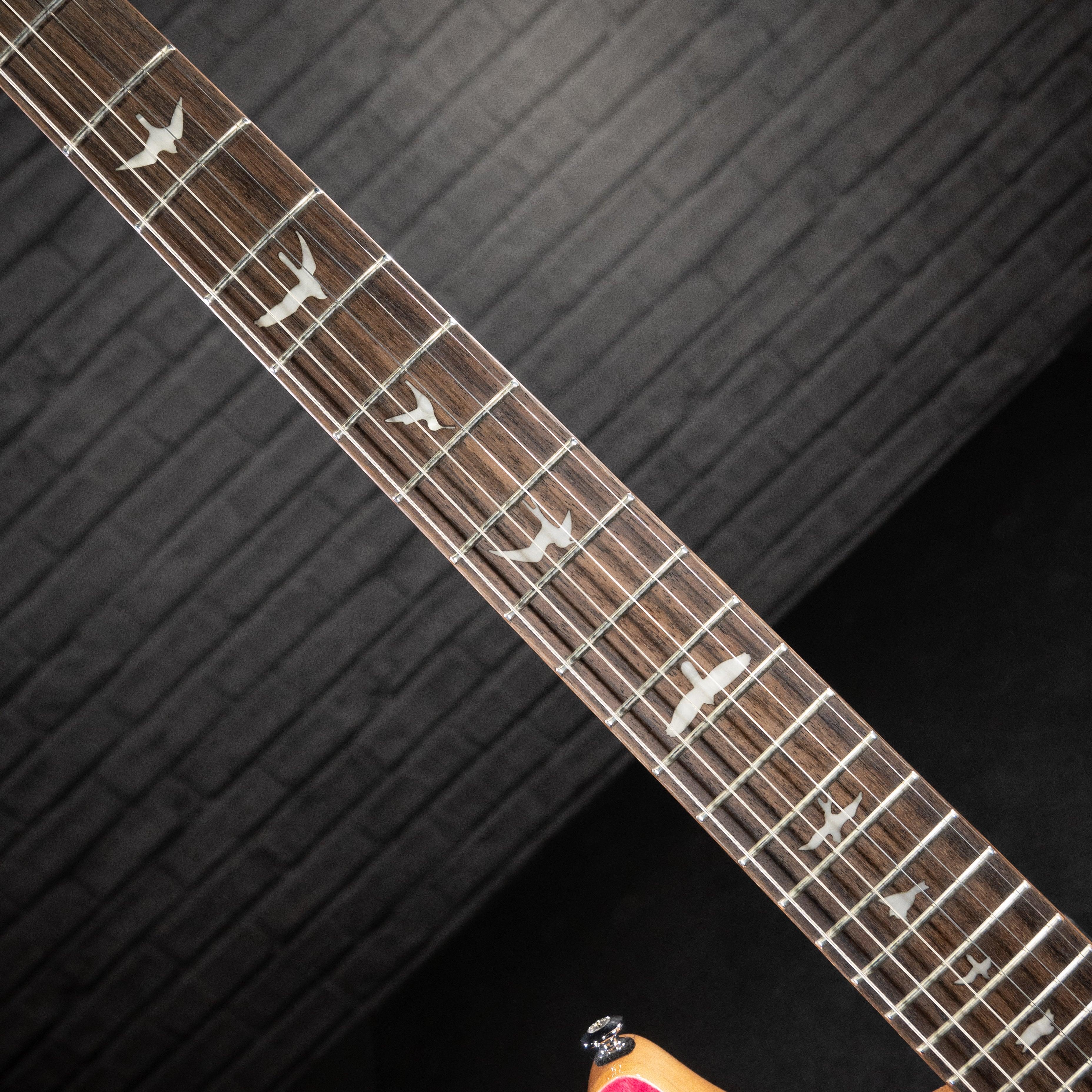 PRS SE Custom 24 Bonni Pink - Impulse Music Co.