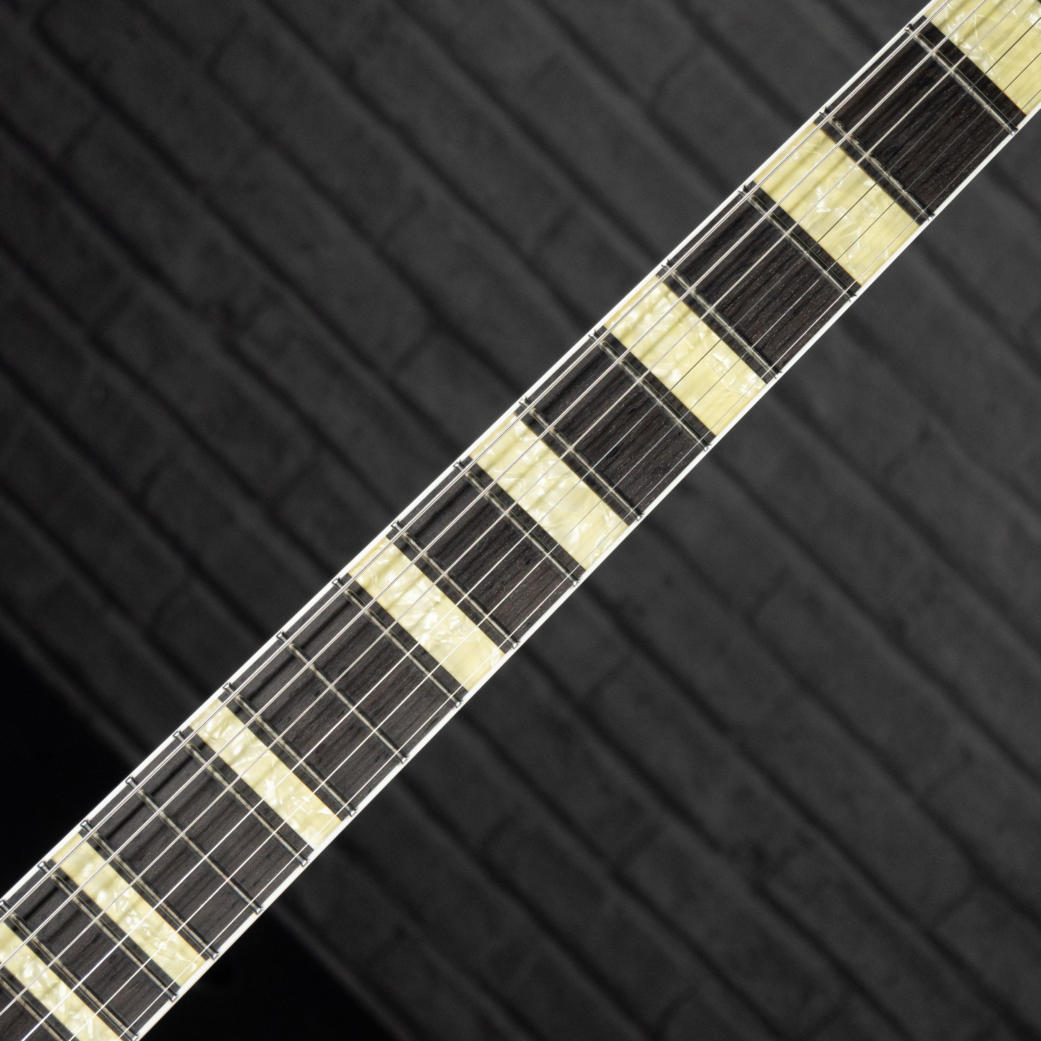 Rivolta Regata VII Semi-Hollow (Toro Black) - Impulse Music Co.