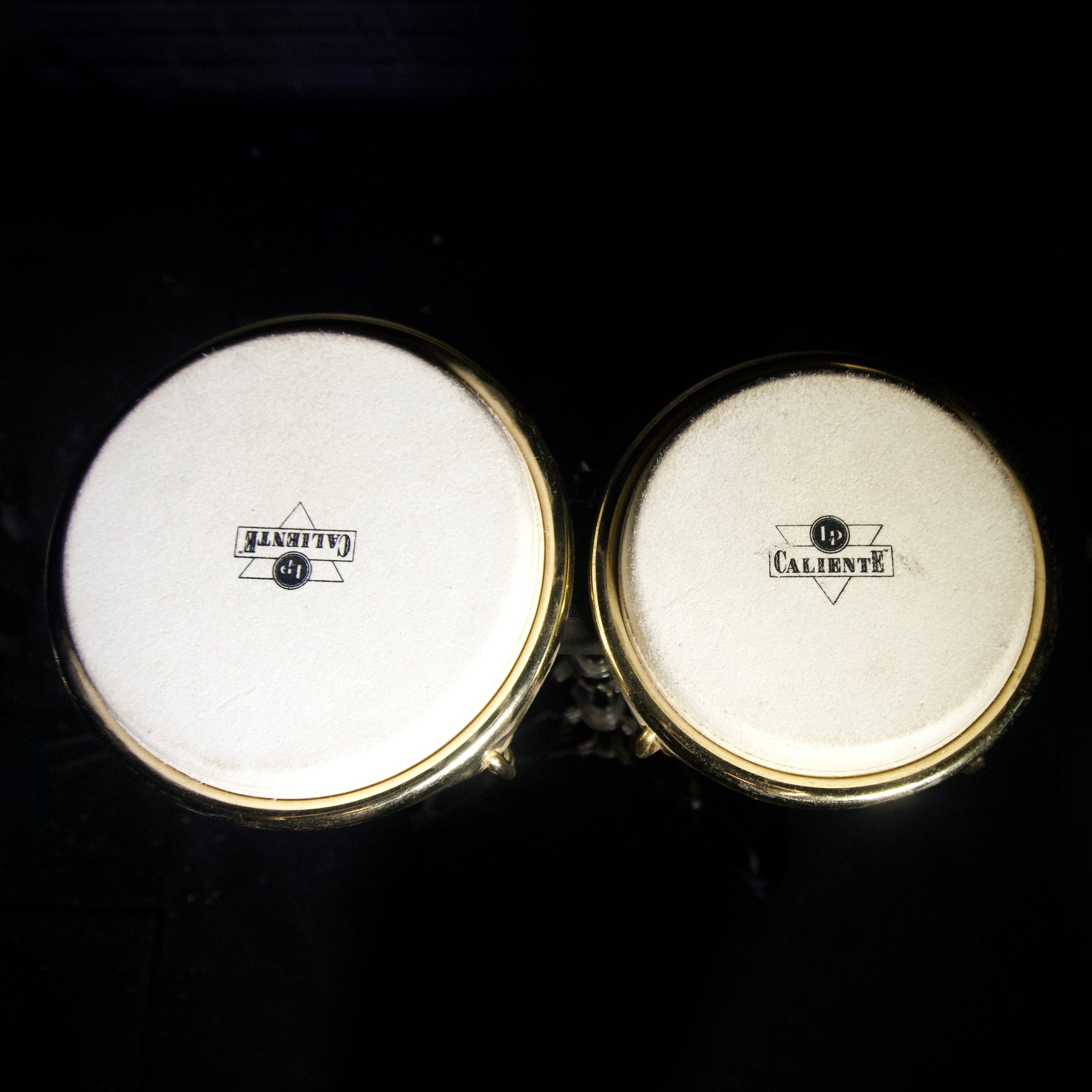 LP Caliente Bongos w/ Stand