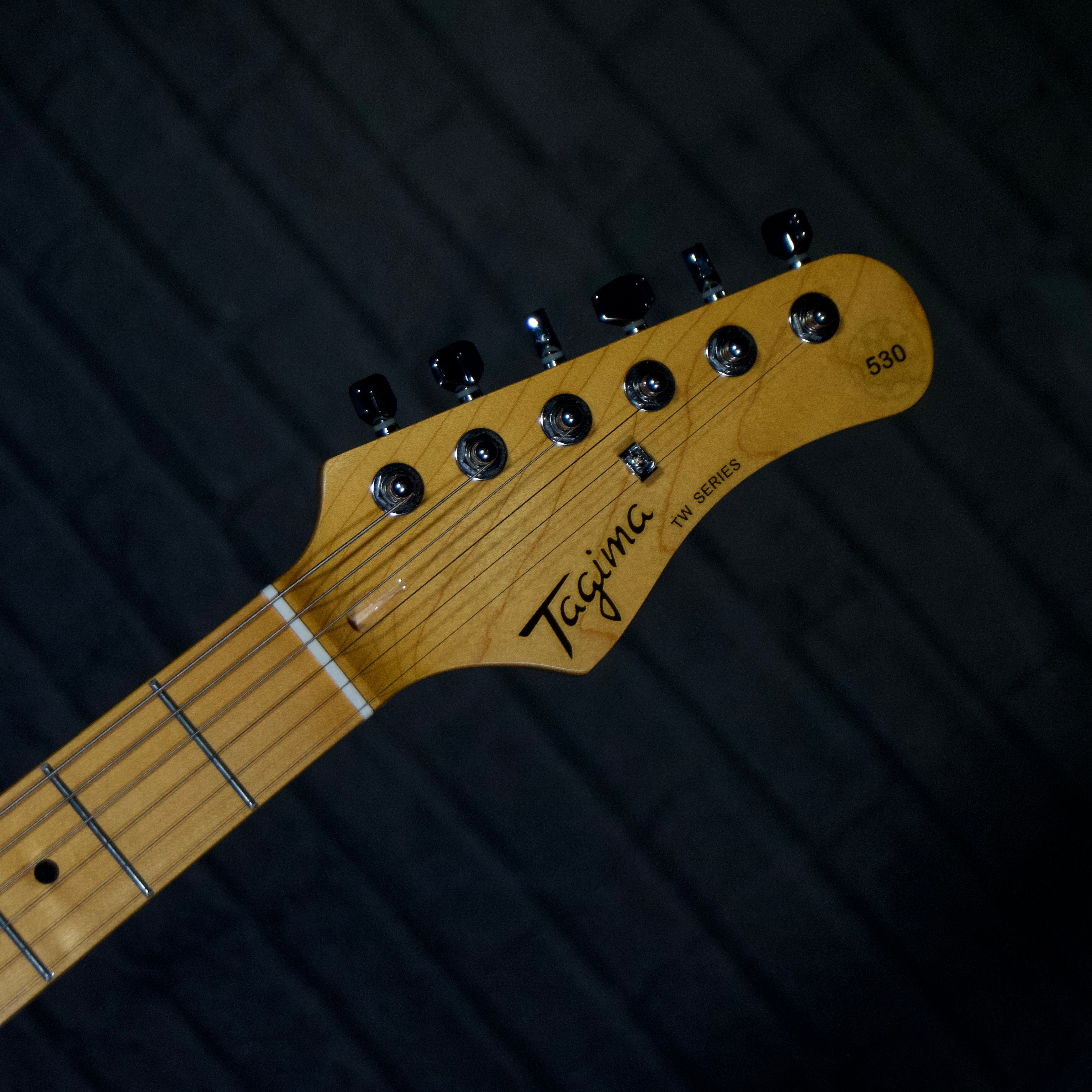 Tagima TG-530 Electric Guitar