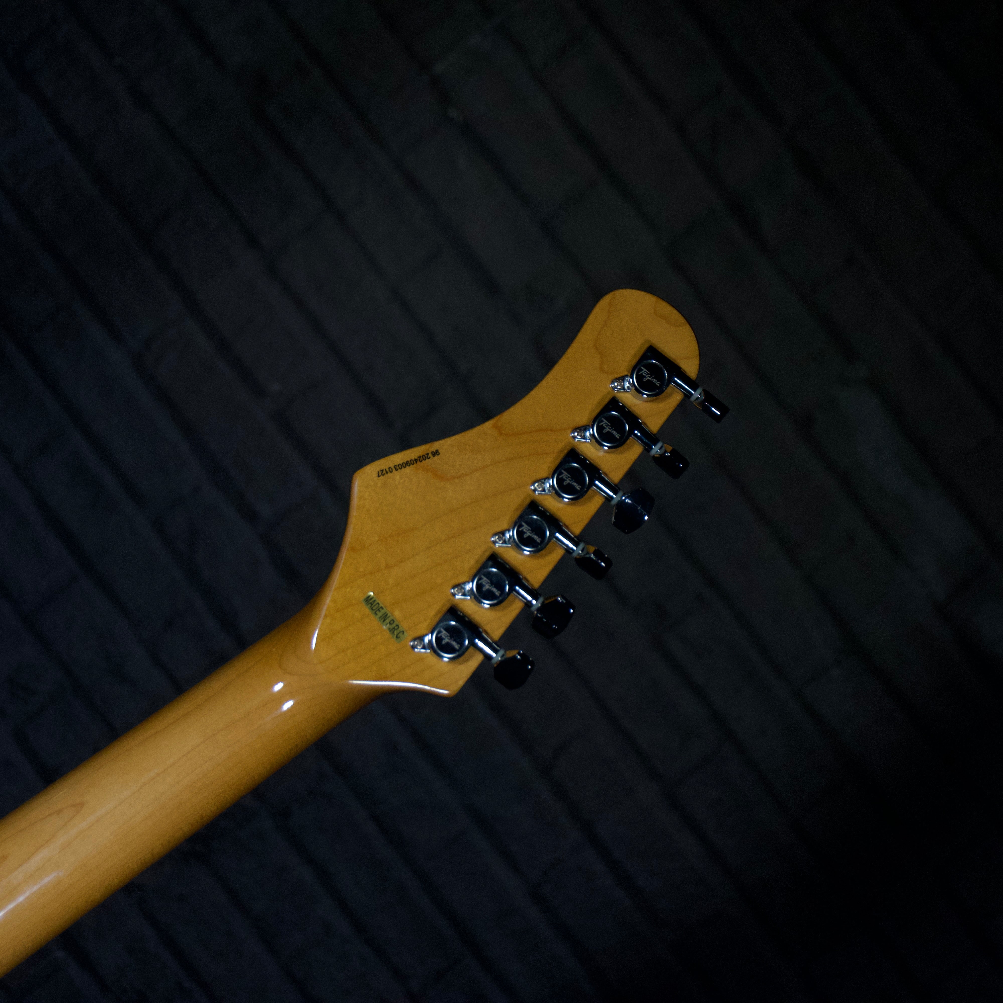 Tagima TG-530 Electric Guitar