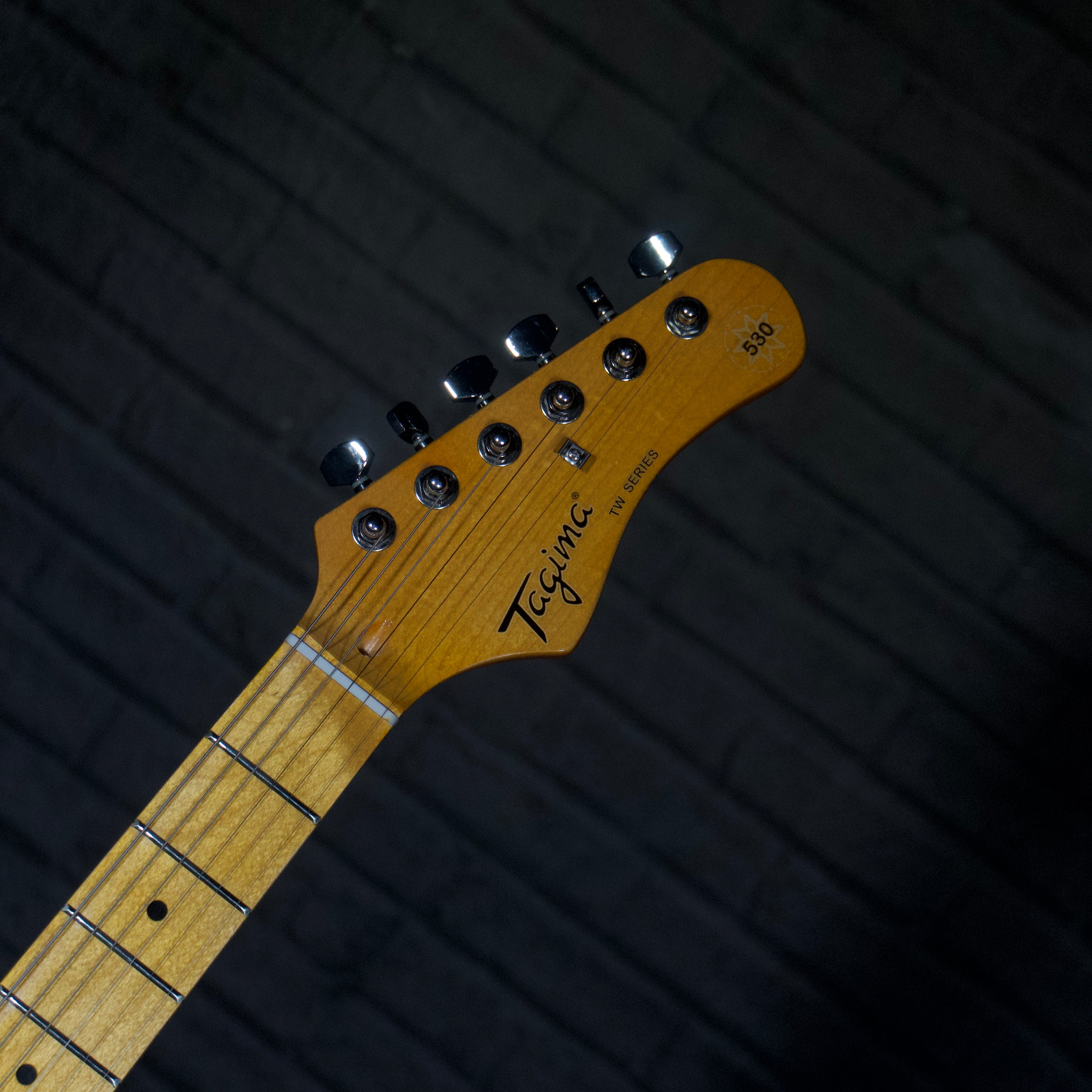 Tagima TG-530 Electric Guitar