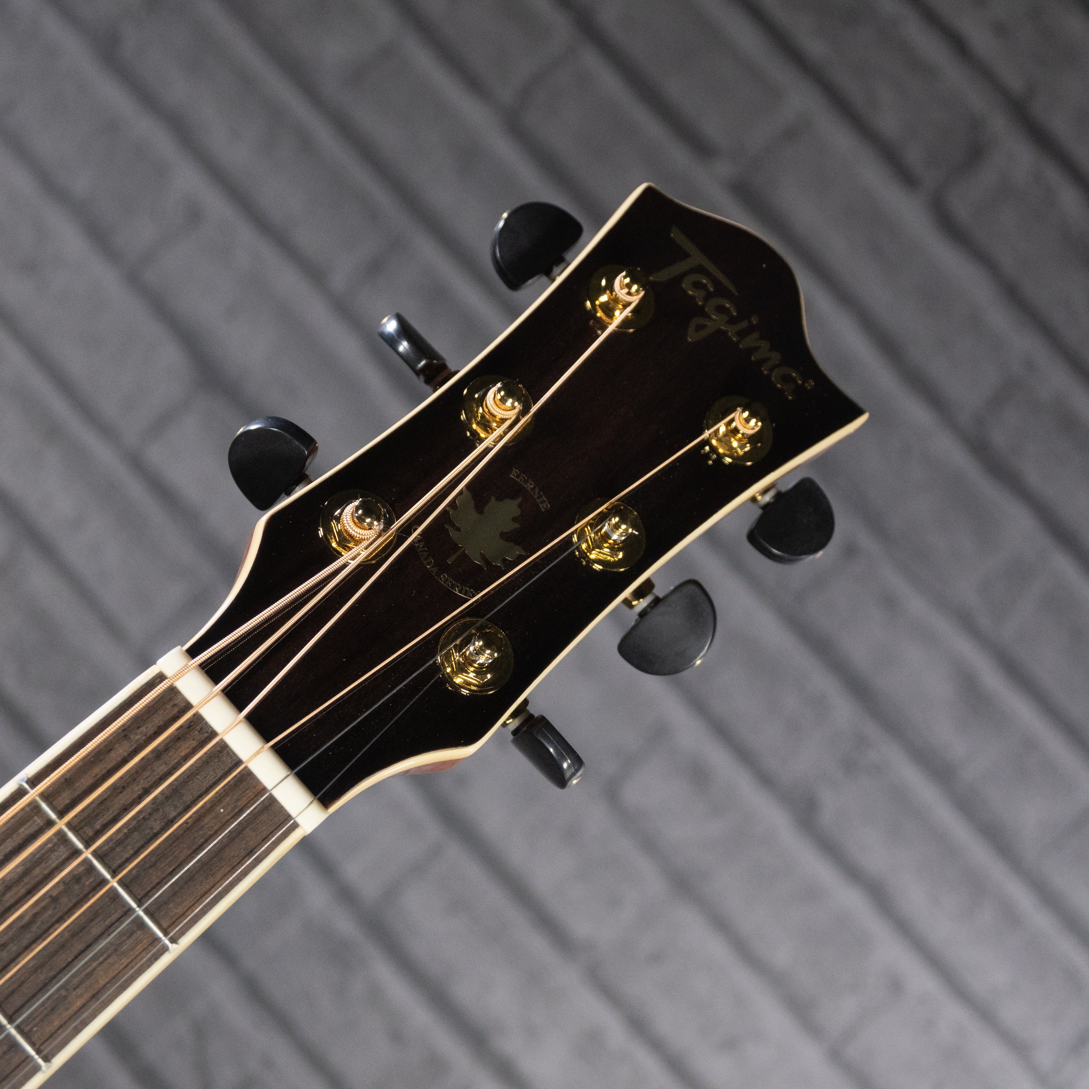 Tagima Canada Series Vancouver EQ Acoustic Guitar (Natural)