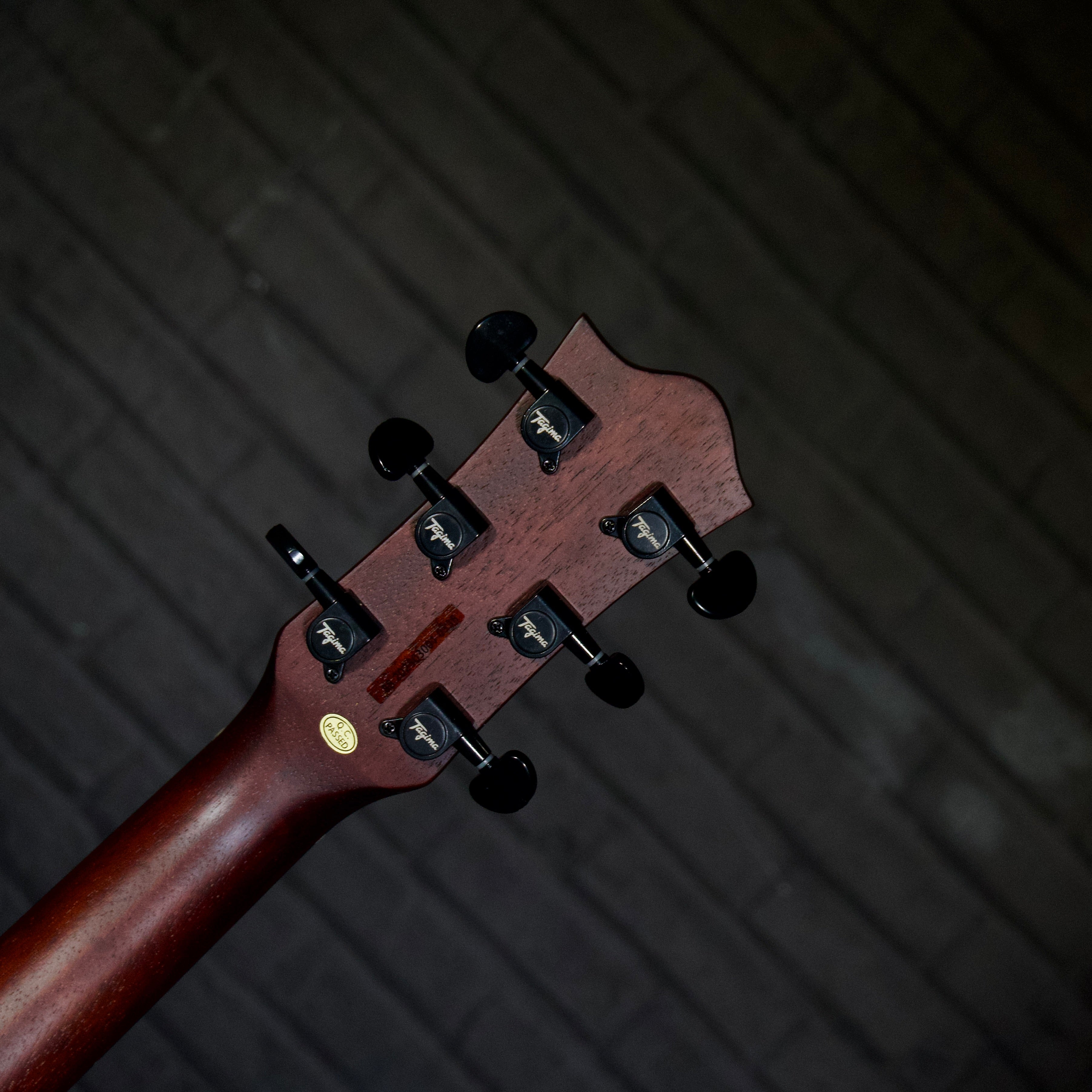 Tagima Juninho Afram Gran Reserva Dreadnought Acoustic/Electric Guitar