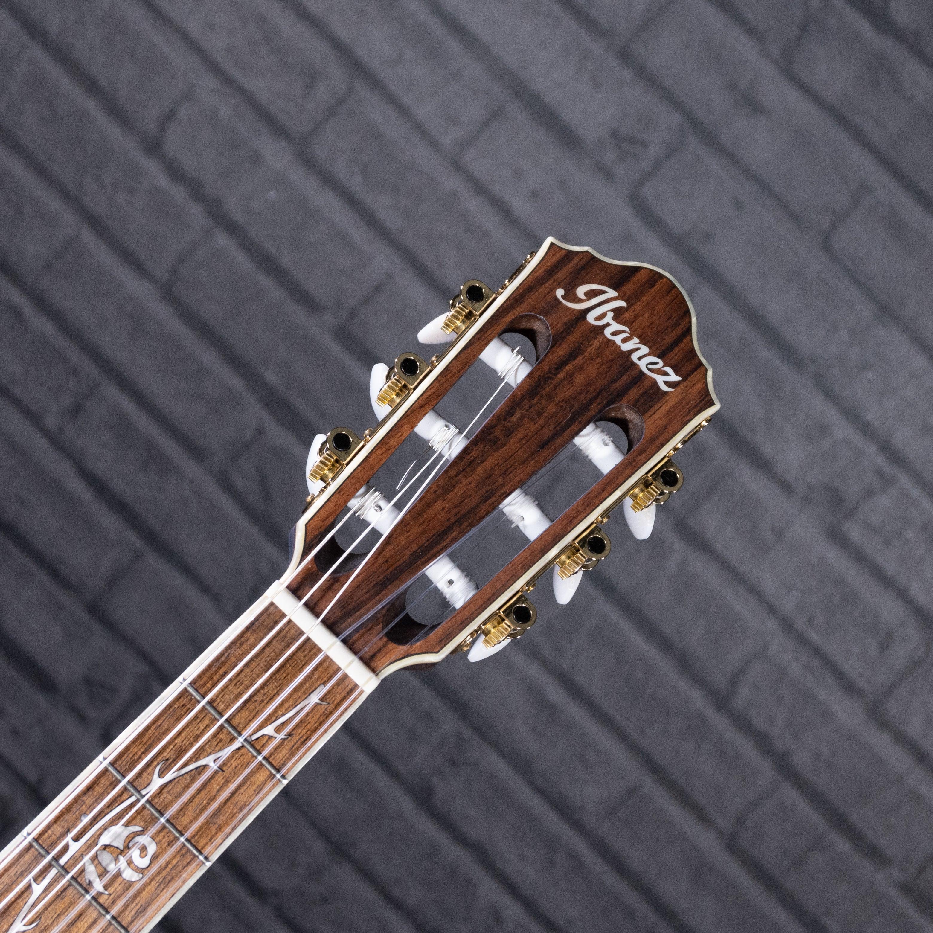Ibanez TOD10N Tim Henson Signature Nylon Semi-Acoustic Electric Guitar - Impulse Music Co.